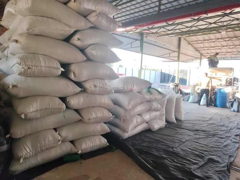 Zakken biologische cacao, klaar voor export
