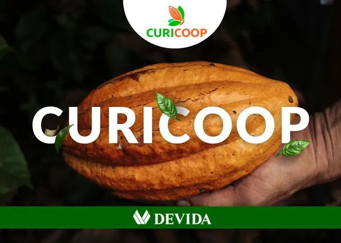 Portada del brochure de CURICOOP